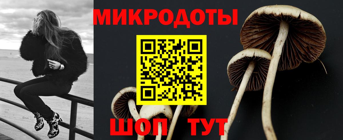 Псилоцибиновые грибы MAGIC MUSHROOMS Тольятти